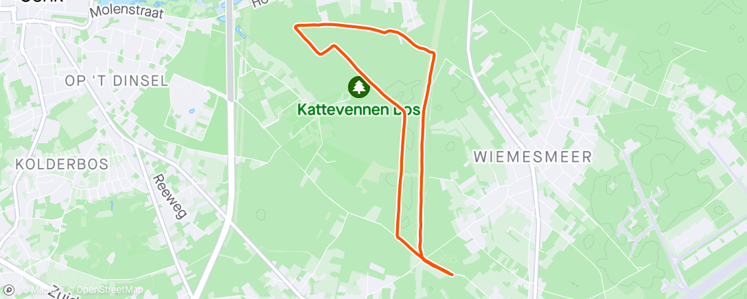 Map of the activity, Evening Workout