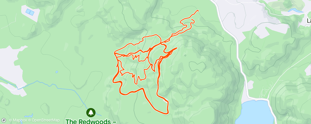Map of the activity, Downhill Laps - Rotorua