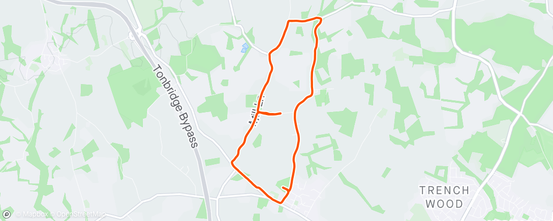 Map of the activity, Hildenborough 5 mile