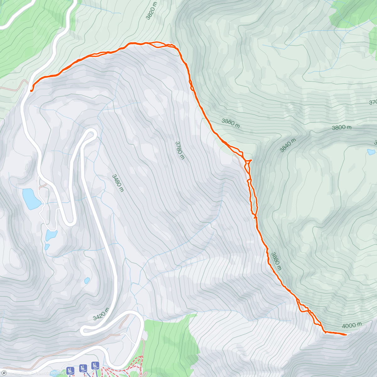 Map of the activity, 🌋 Cupid & Grizzly Peak D — White River National Forest