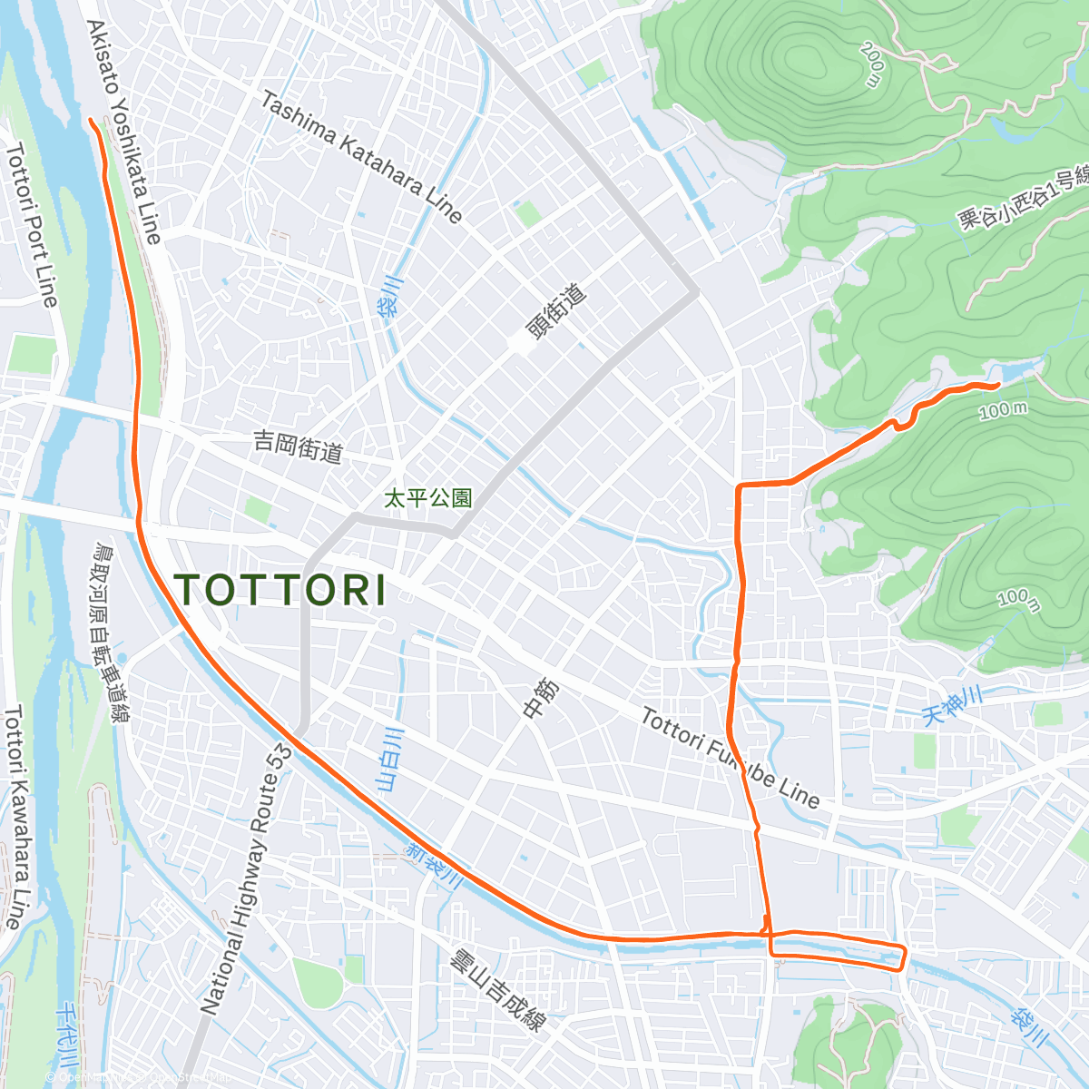 Карта физической активности (午後のランニング)