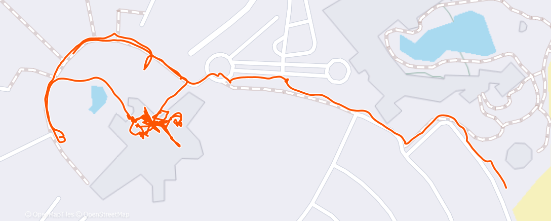 Map of the activity, Stella✨