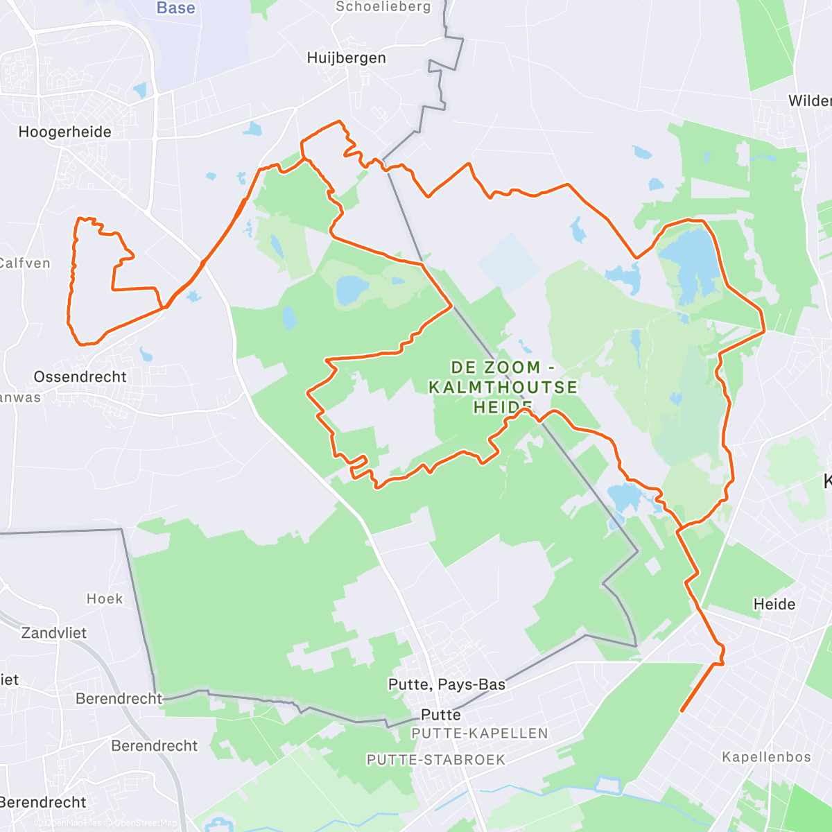 Carte de l'activité Fresh ❄️