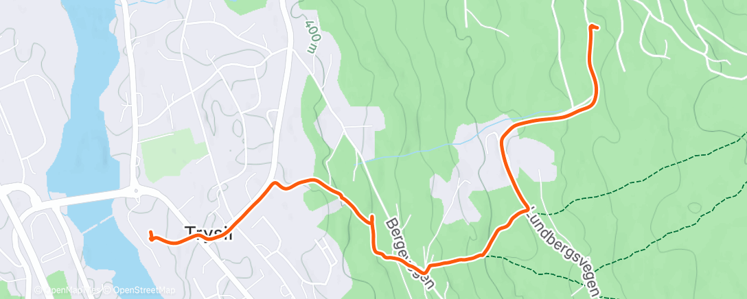 Карта физической активности (Night Walk)