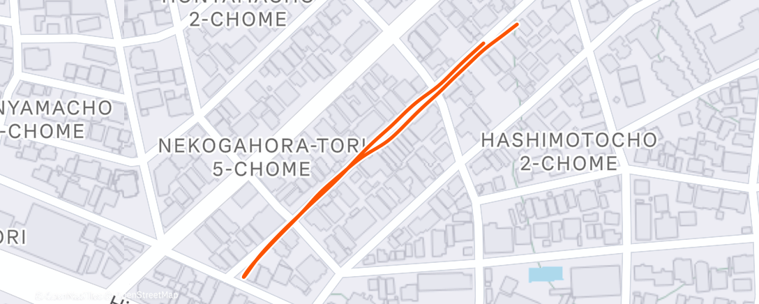 Карта физической активности (夕方のランニング)