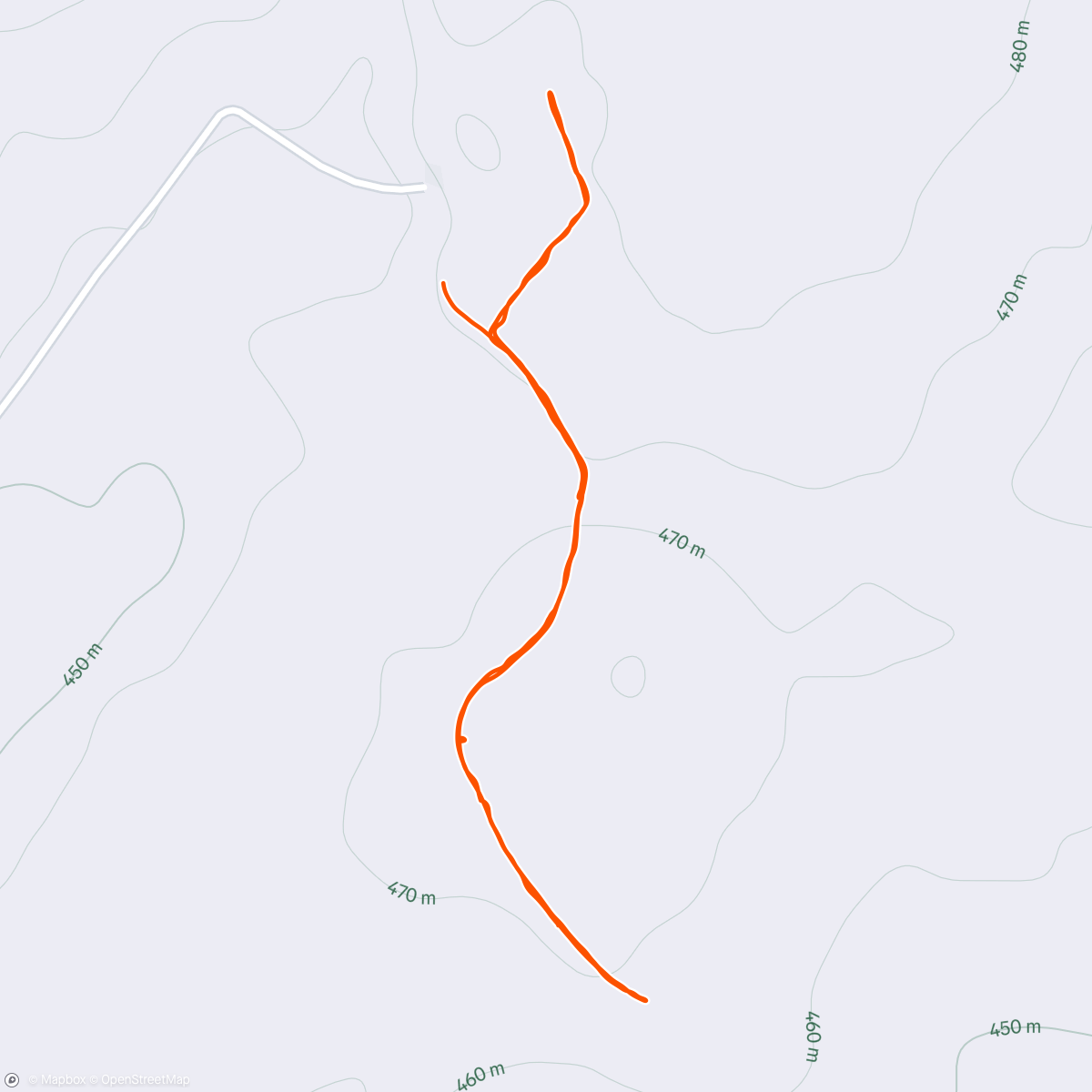 Map of the activity, Corrida vespertina