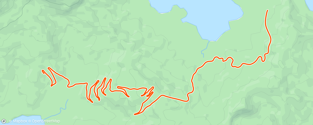 Map of the activity, Zwift -