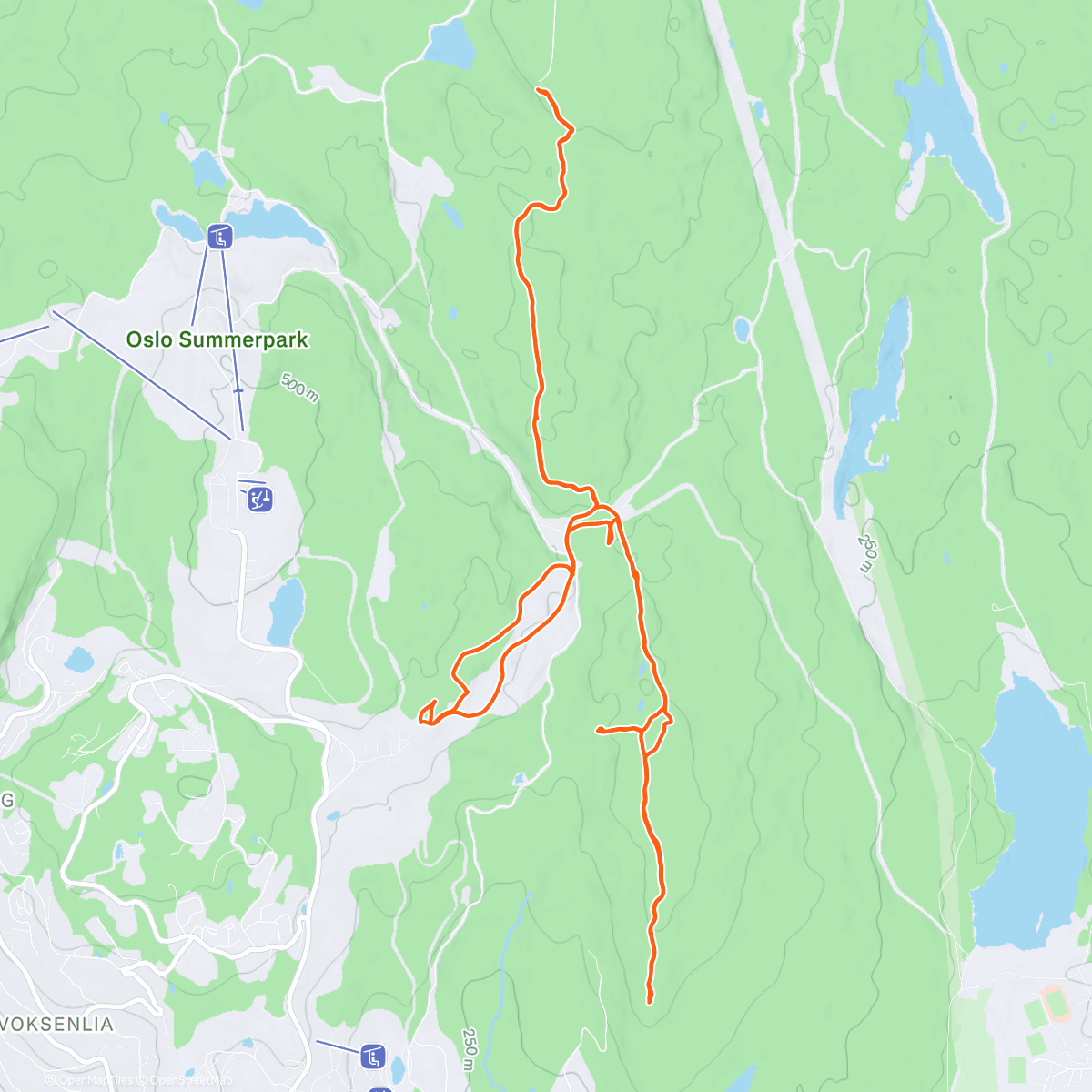 Карта физической активности (Morning Hike)