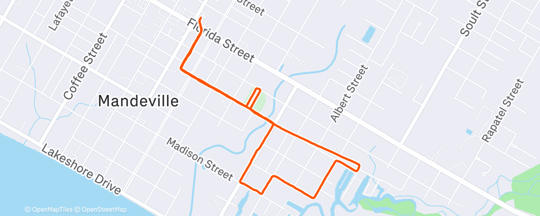 Mapa de la actividad (Morning Walk)