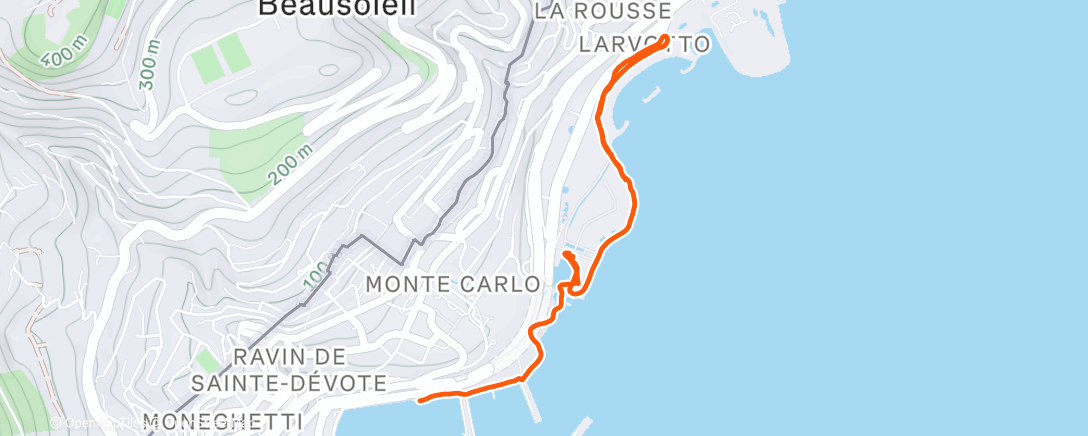 Mapa de la actividad, Afternoon Run