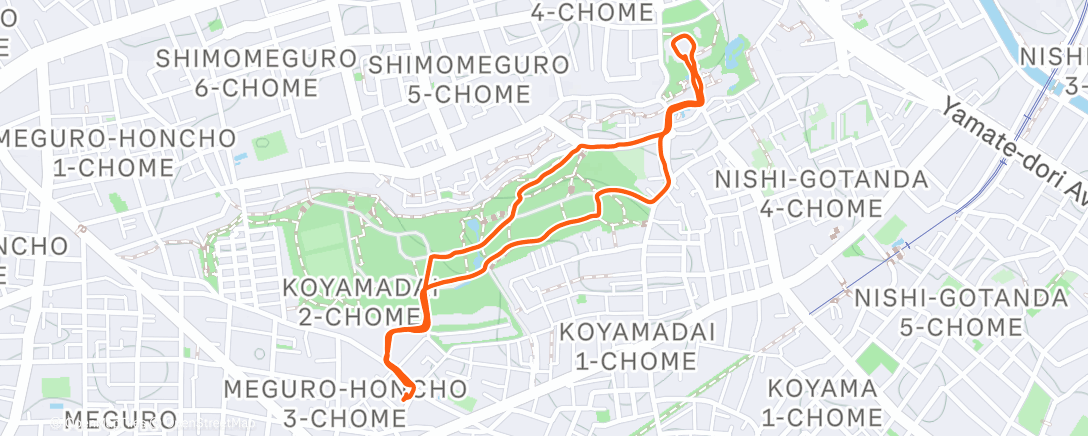 Map of the activity, 朝のランニング
