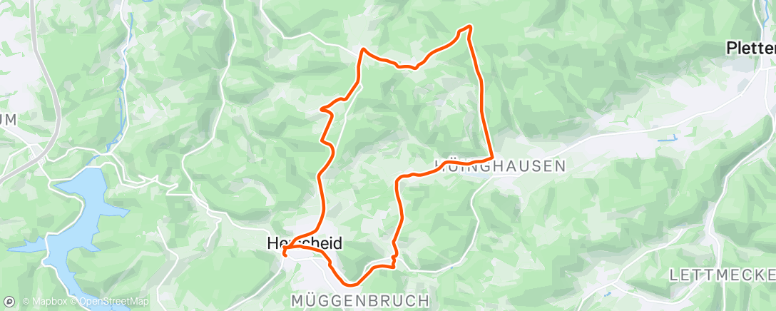 Map of the activity, Marlin - Wiehardt - Friedlin