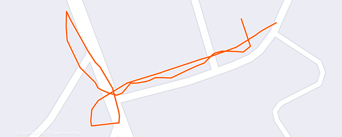 Карта физической активности (Morning Run)