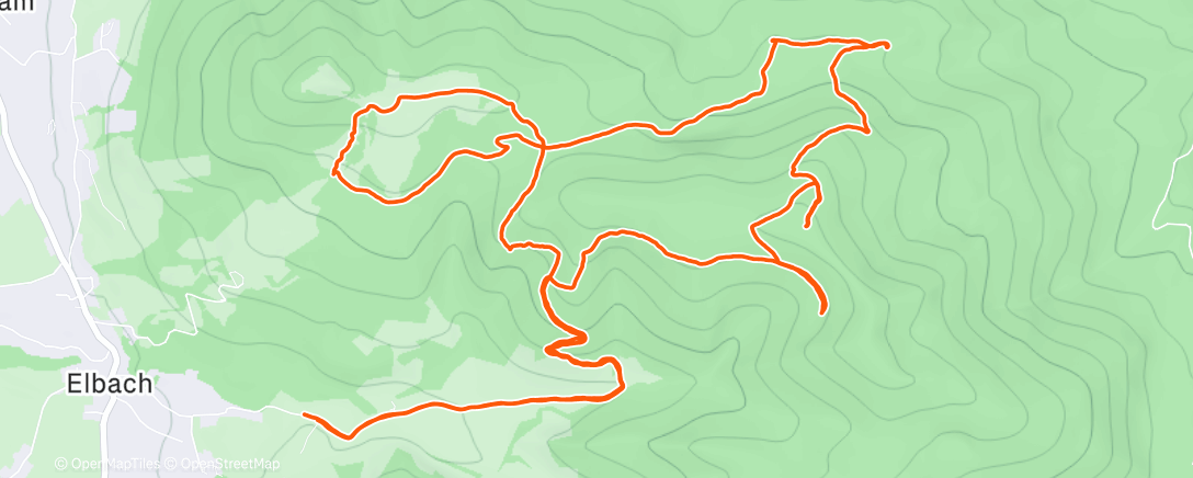 Карта физической активности (Wanderung am Morgen)