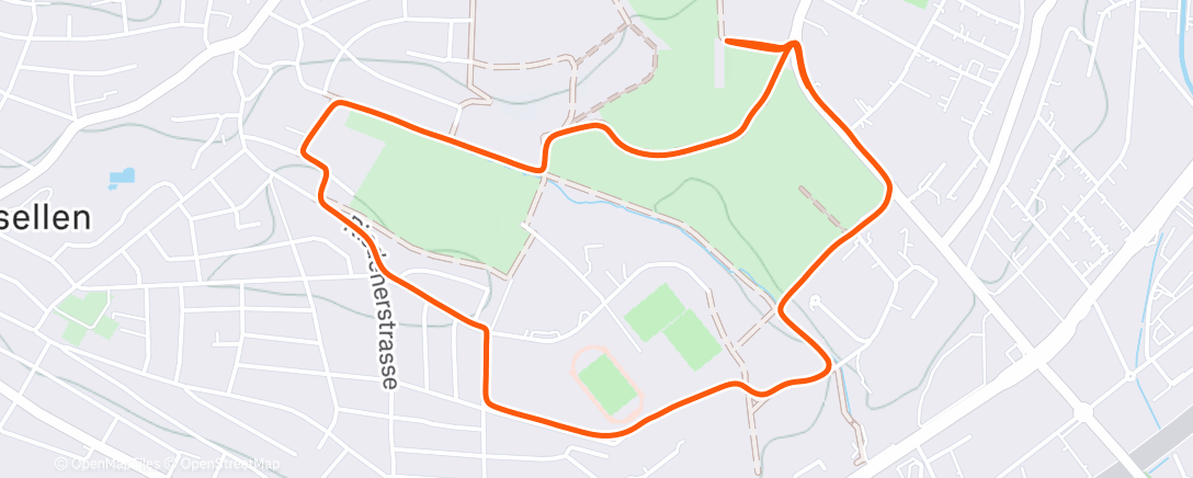 Карта физической активности (First Swiss run)