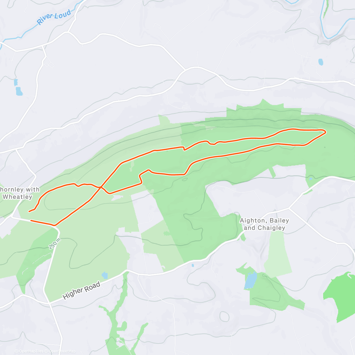 Mappa dell'attività Morning Run w/ Nick & Maple 🍁