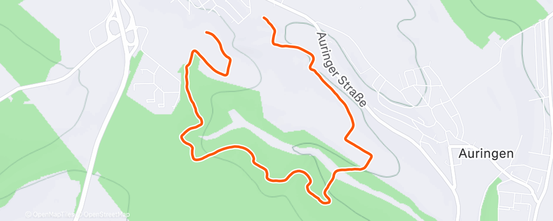 Карта физической активности (Traillauf am Morgen)