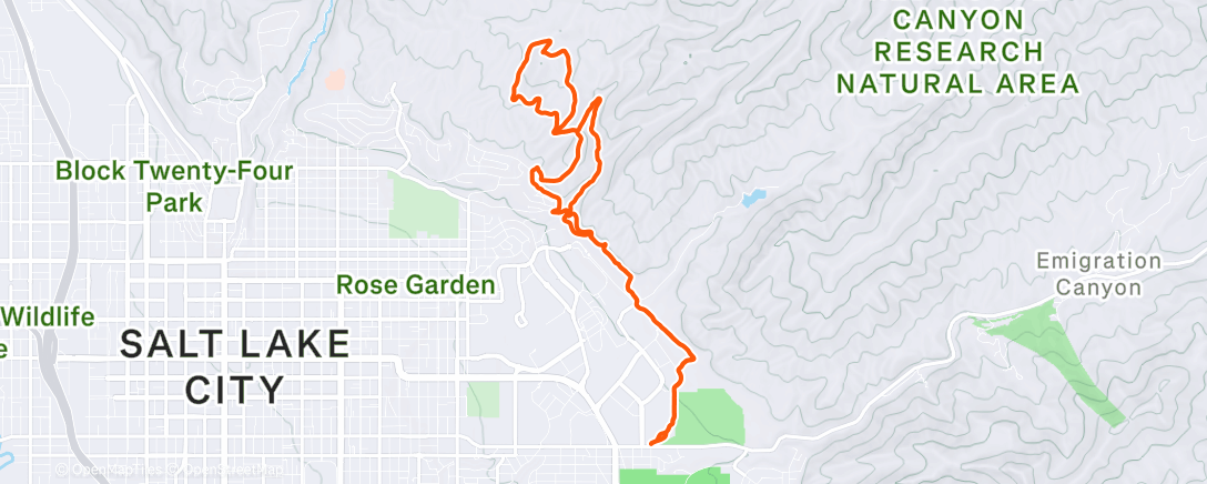 Map of the activity, Morning Run