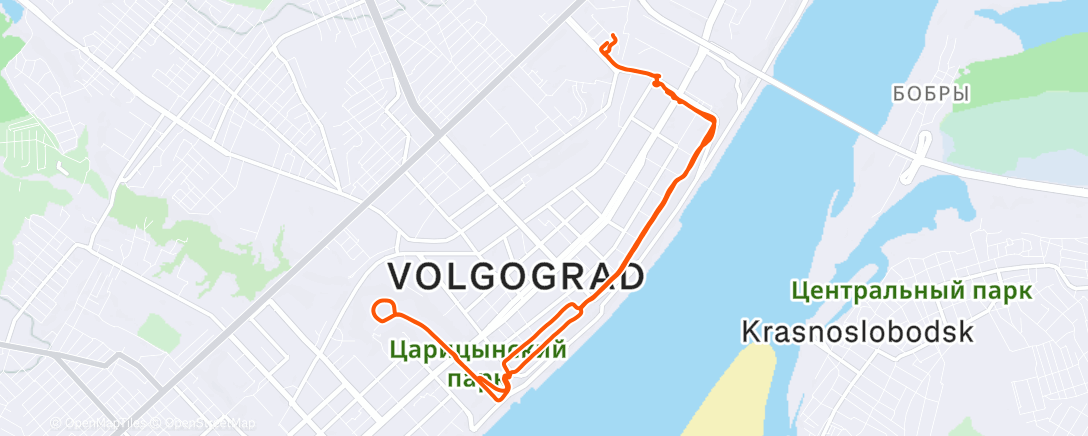 Map of the activity, Evening Run
