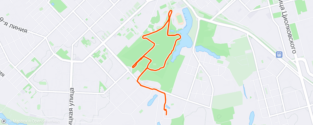 Map of the activity, Утренний забег
