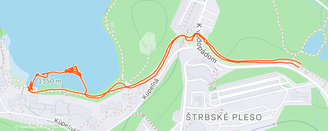 Карта физической активности (Evening Workout)