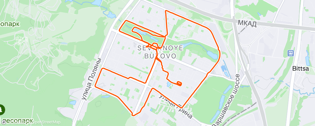 Map of the activity, Evening Run