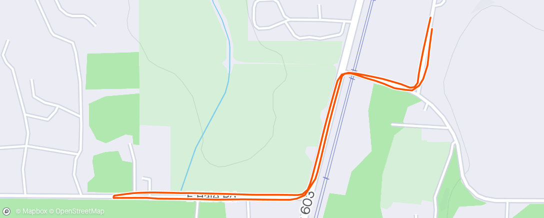 Map of the activity, Morning recovery-ish Run