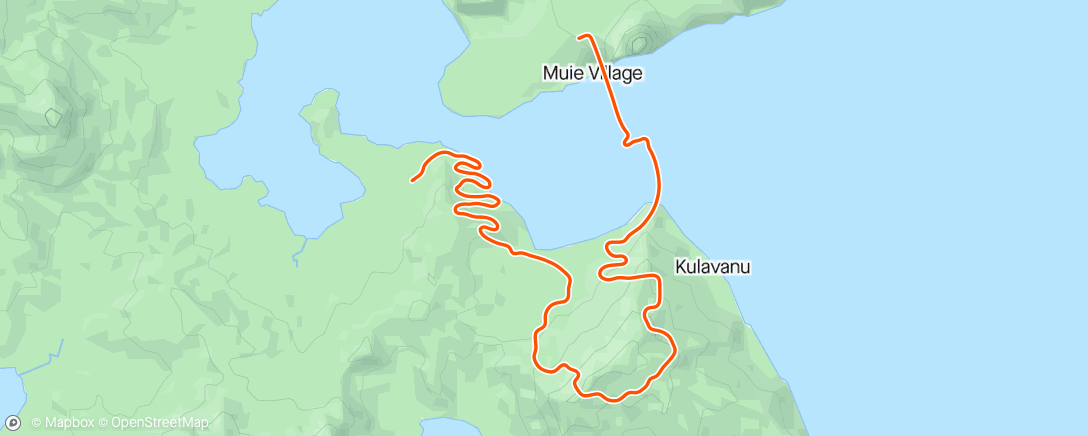 Карта физической активности (Zwift - Mountain Mash in Watopia)