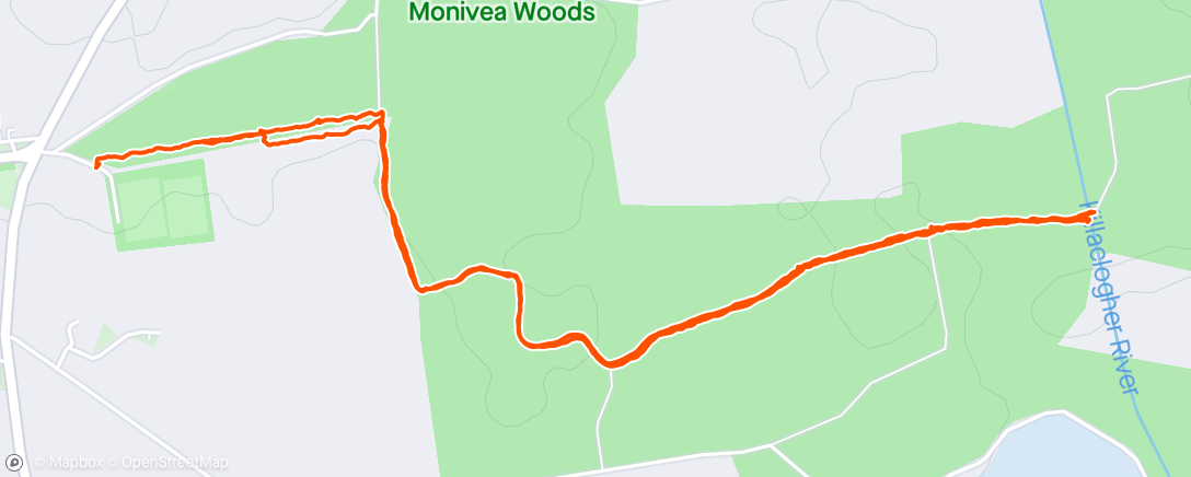Map of the activity, Monivea Woods with Mam and Dogs