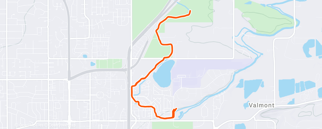 Map of the activity, Morning Run