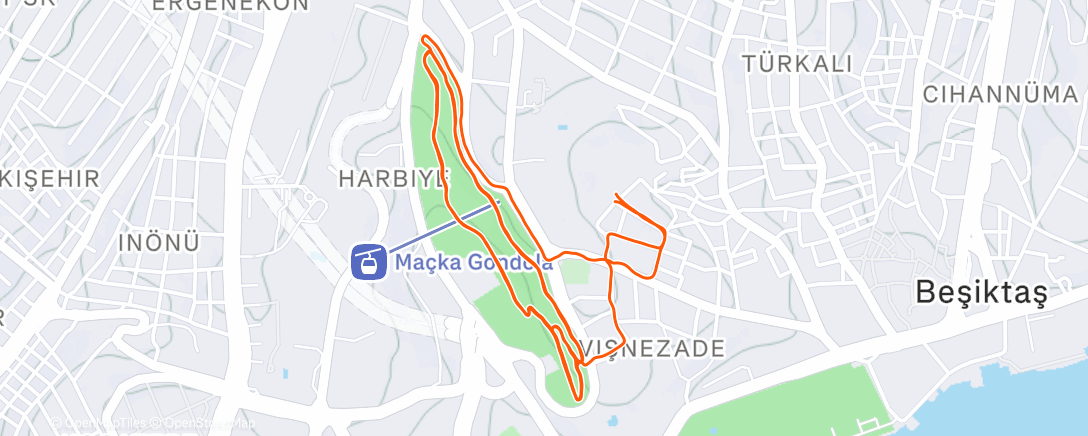 Map of the activity, Morning Run
