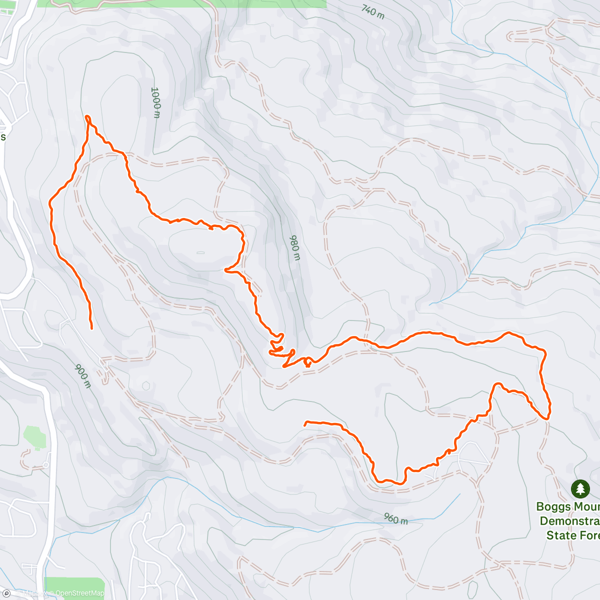 Map of the activity, 101 Lizards Trail