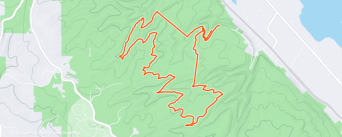 Карта физической активности (Lunch Trail Run)