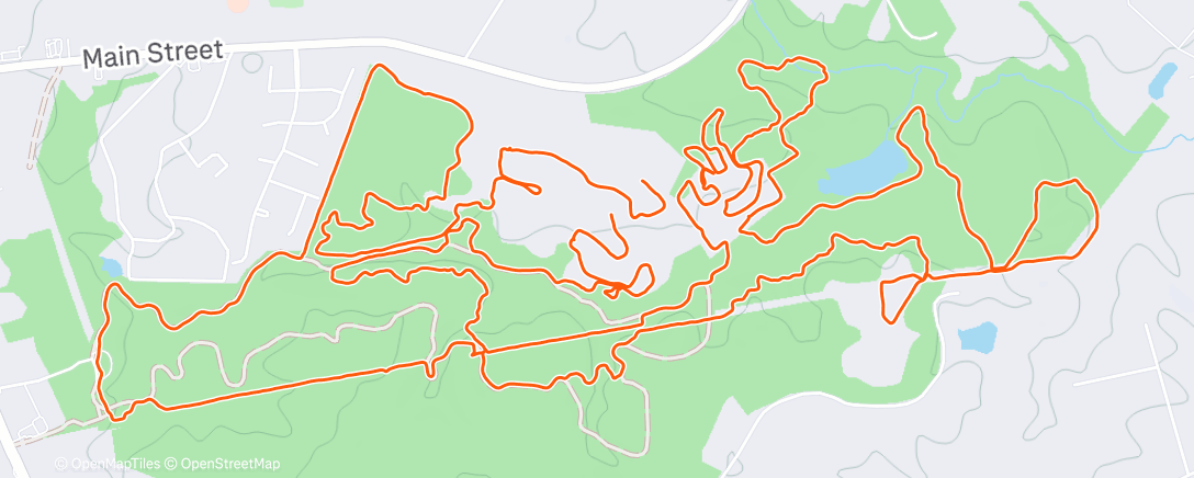 Map of the activity, Morning Trail Run