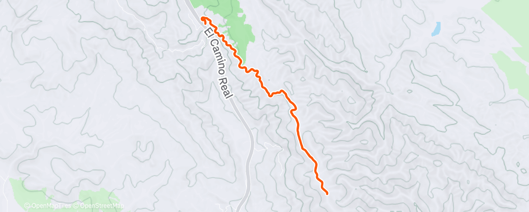 Карта физической активности (60 min ☀️)