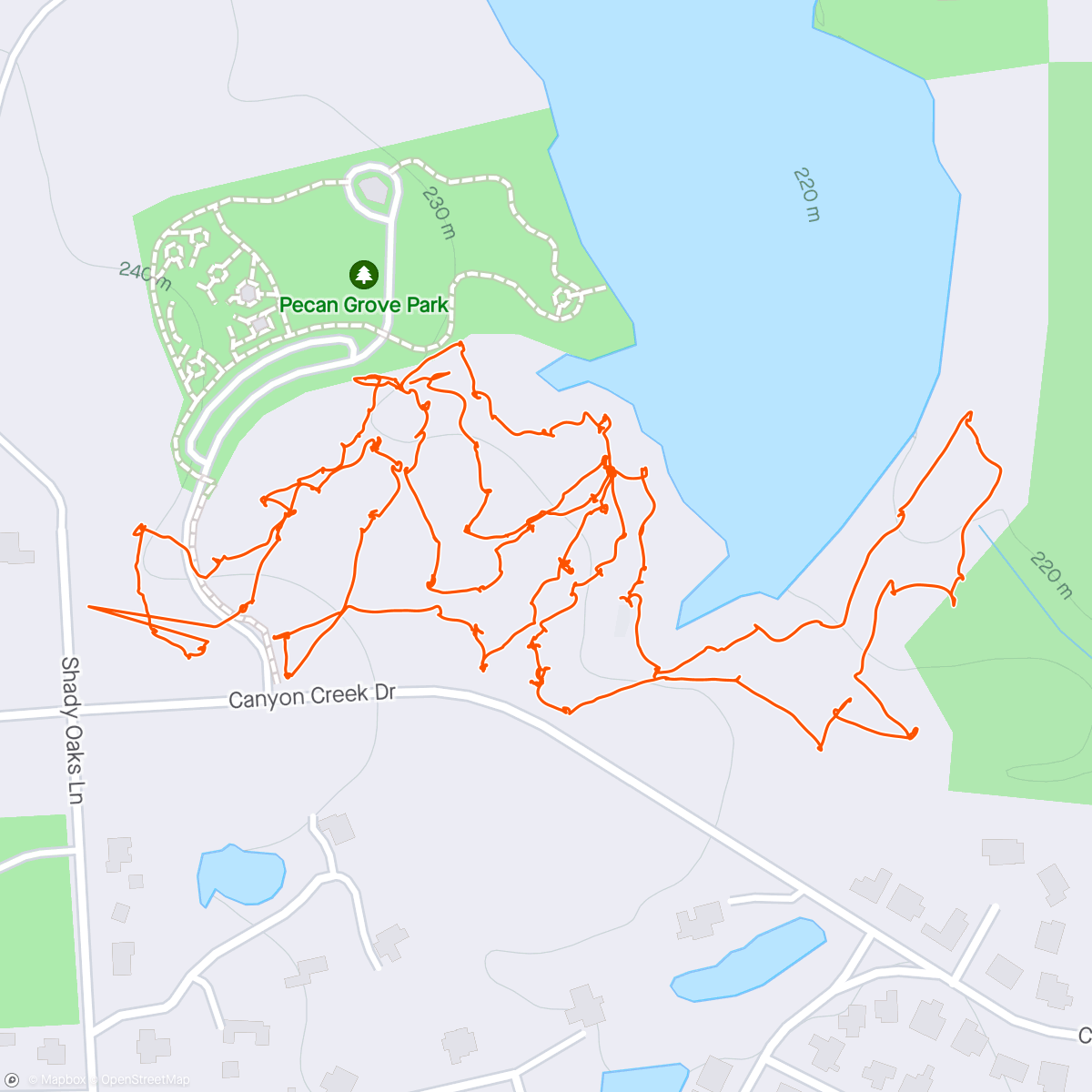 Map of the activity, Pecan Gold D