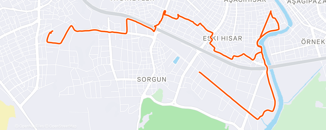 Map of the activity, To market, to market...