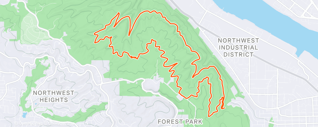 Карта физической активности (Morning Trail Run)