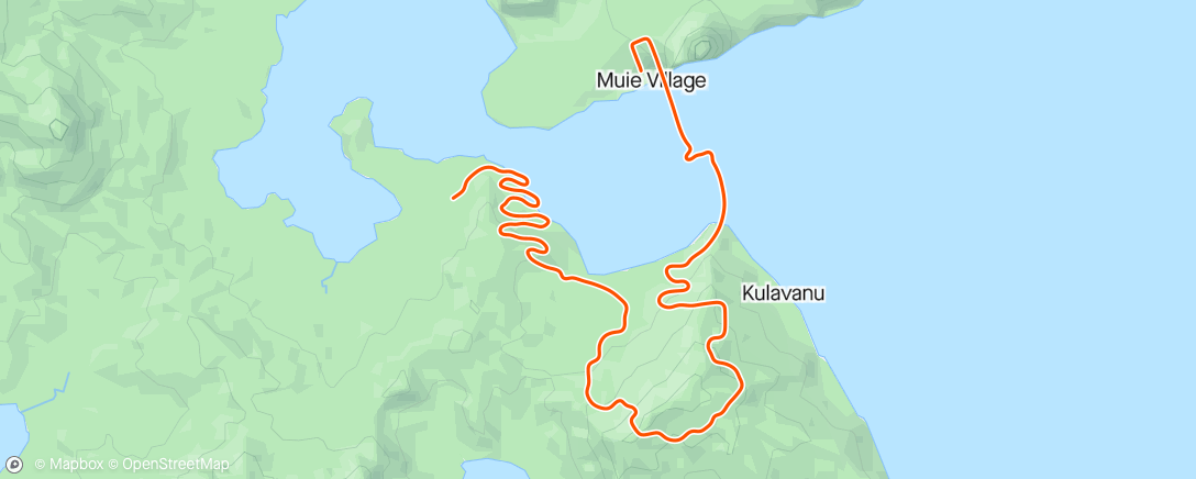 Map of the activity, 45mins Endurance Ascent