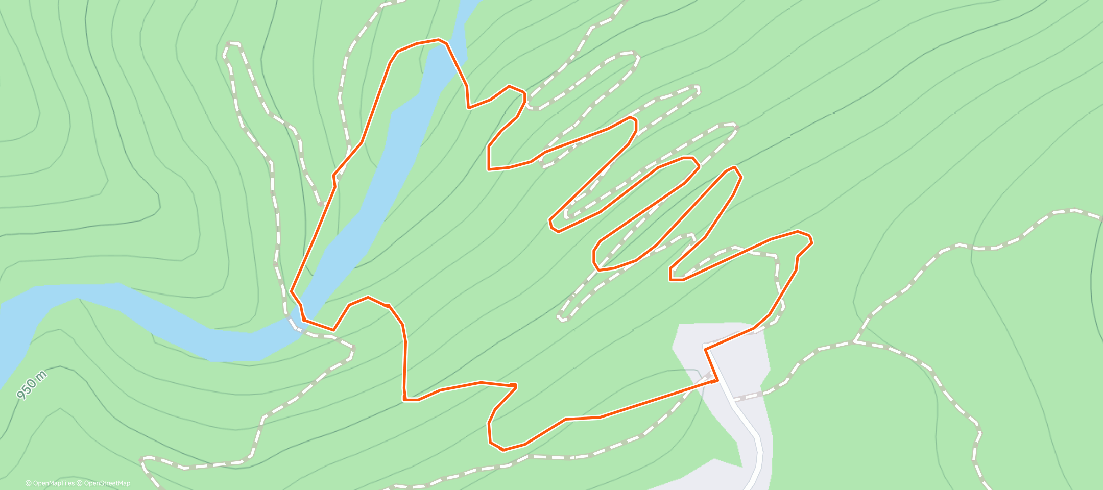 Upper Creek Falls | 在Strava 上的0.8英里远足路径