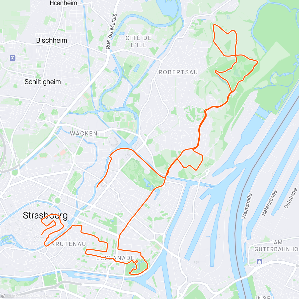 Map of the activity, Semi Strasbourg 1h17’ 🍀🍀 petit pb de GPS 😬