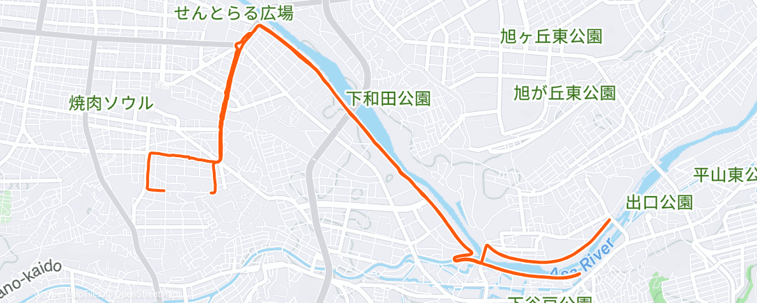 Map of the activity, 今年のラストジョギング