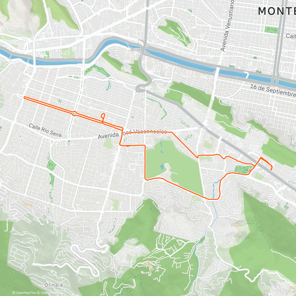 Lucy Fiol | Strava Runner Profile