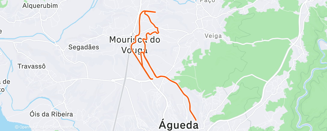 Карта физической активности (Lunch Run)