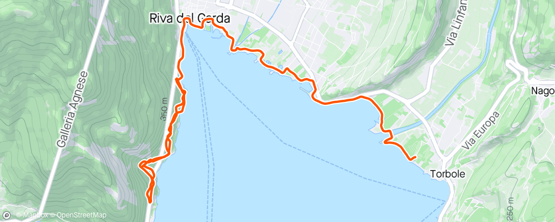 Mapa de la actividad, Running