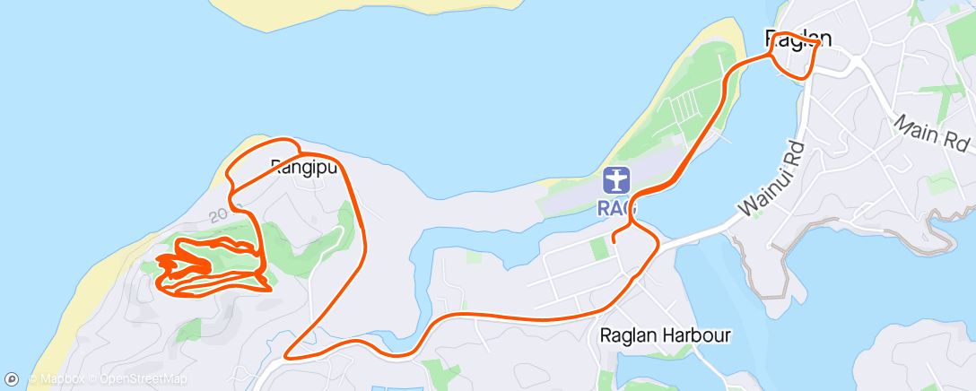 Mappa dell'attività Raglan