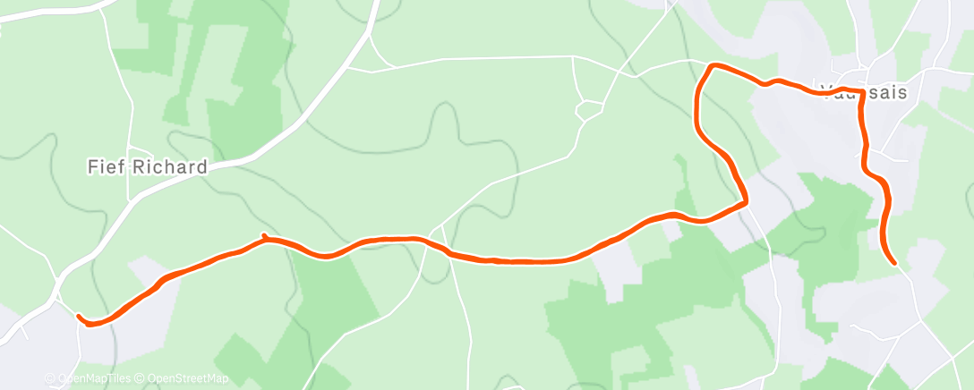 Map of the activity, Morning Run