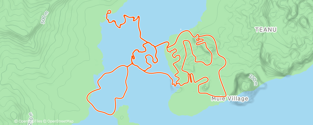 Карта физической активности ("Strider:  King of man" - Zwift Watopia - 12/30/25)