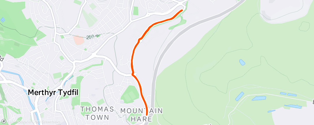 Map of the activity, Evening Run