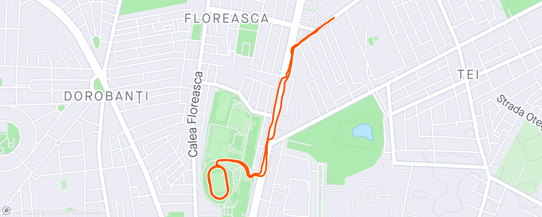 Map of the activity, Hello fartlek my old friend